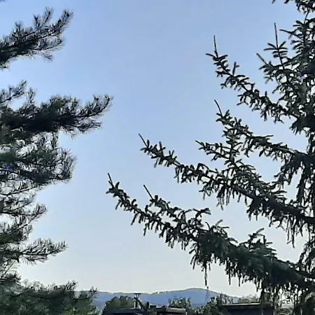 Wadowicka * Wadowice