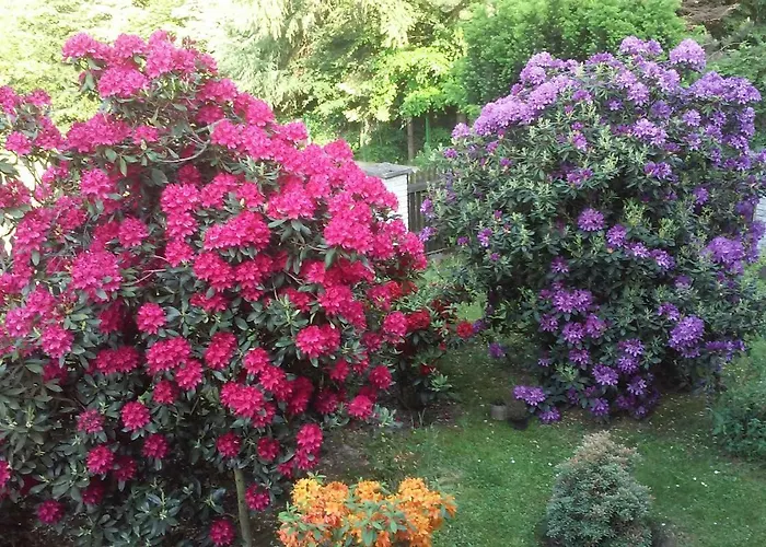 Wadowicka Habitación en casa particular