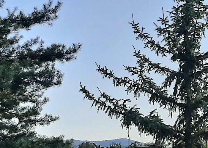 Wadowicka * Wadowice